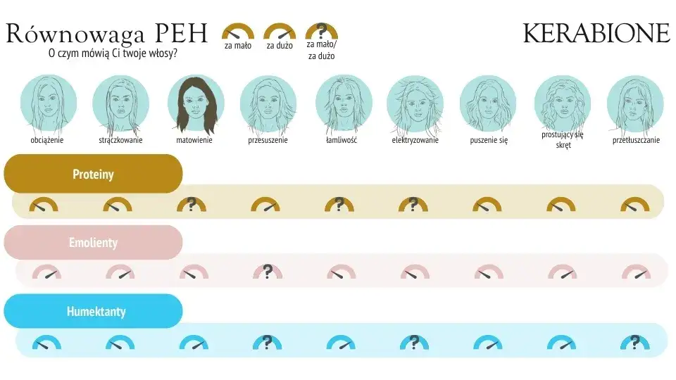 r&oacute;wnowaga PEH włosy wysokoporowate infografika