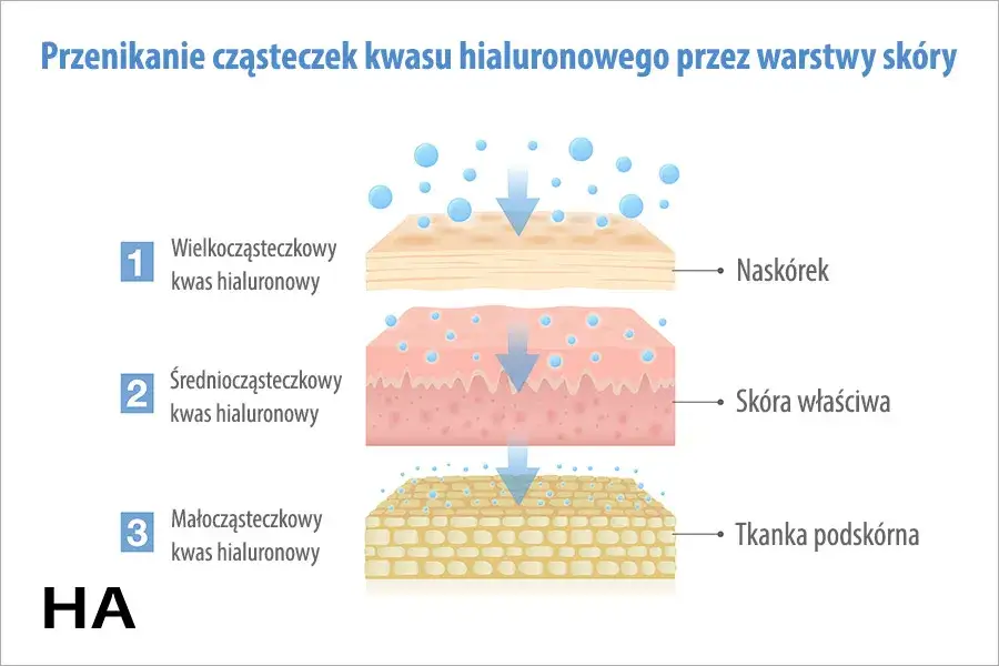 rodzaje kwasu hialuronowego w kosmetykach